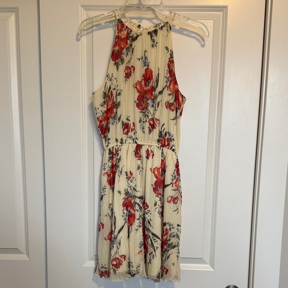 Abercrombie & Fitch Floral Mini Dress in Cream and Red